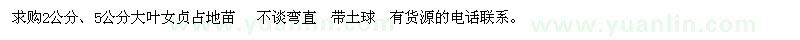 求購(gòu)2公分、5公分大葉女貞占地苗