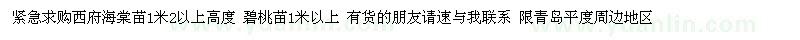 求購西府海棠苗 紅葉碧桃苗