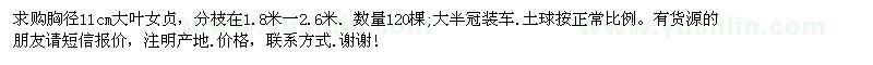 求購大葉女貞