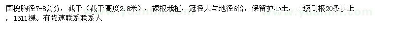 求購國槐胸徑7-8公分