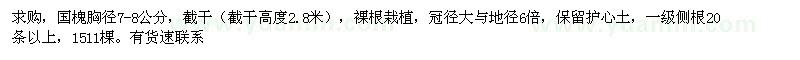 求購國槐胸徑7-8公分