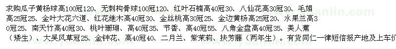 求購瓜子黃楊球、無刺構(gòu)骨球、紅葉石楠