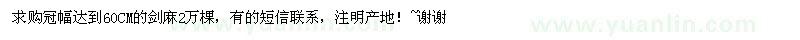 求購冠60公分劍麻2萬棵