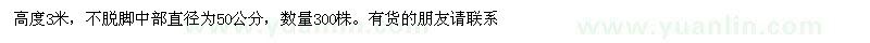 求購高度3米蜀檜