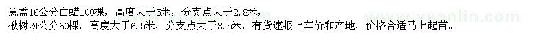 求購白蠟,楸樹(shù)
