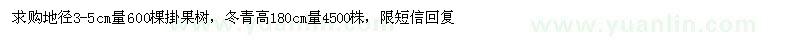 求購(gòu)櫻桃果苗,法國(guó)冬青