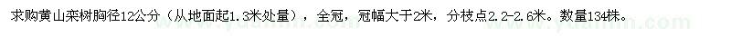 求購黃山欒樹