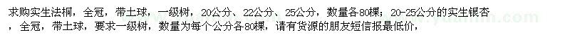 求購實生法桐,實生銀杏