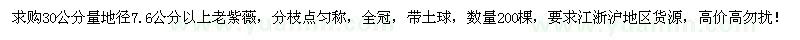求購30公分量地徑7.6公分以上老紫薇200棵