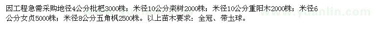 求購4公分枇杷、10公分欒樹、10公分重陽木、6公分女貞