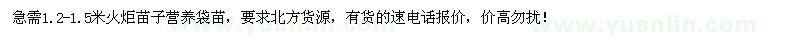 求購1.2-1.5米火炬苗子營養(yǎng)袋苗