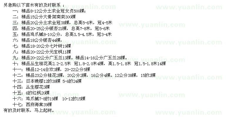 求購精品女貞、南欒、雞爪槭等苗木