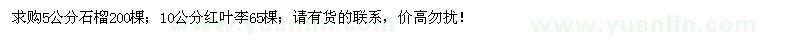 求購5公分石榴、10公分紅葉李