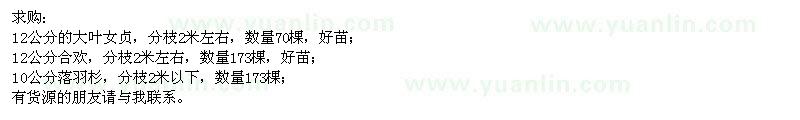 求購大葉女貞,合歡,落羽杉