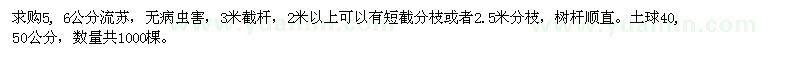 求購5, 6公分流蘇