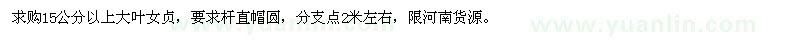 求購15公分以上大葉女貞