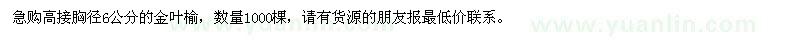 求購急高接胸徑6公分的金葉榆