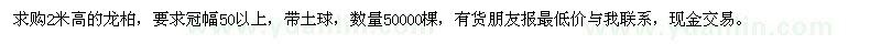 求購2米高的龍柏