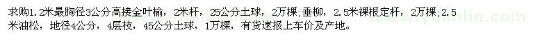 求購1.2米最胸徑3公分高接金葉榆