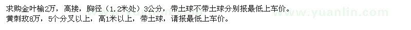 求購(gòu)金葉榆2萬(wàn)，黃刺玫8萬(wàn)