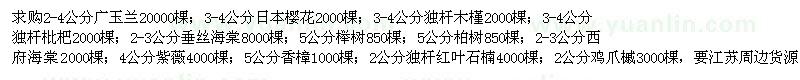 求購廣玉蘭、日本櫻花、獨桿木槿、獨桿枇杷、垂絲海棠、櫸樹等