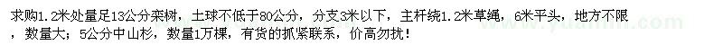 求購13公分欒樹、5公分中山杉