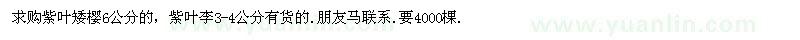 求購(gòu)紫葉矮櫻6公分的