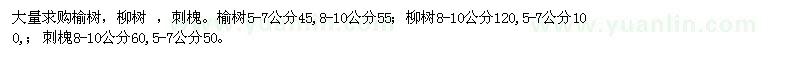 求購榆樹、柳樹、刺槐等苗木