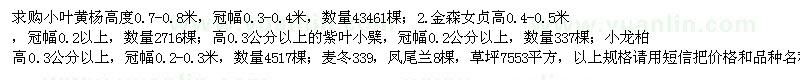 求購小葉黃楊、金森女貞、麥冬、小龍柏