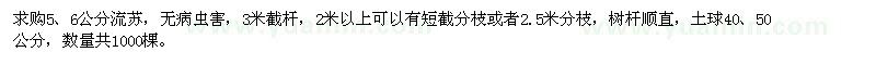 求購5,6公分流蘇
