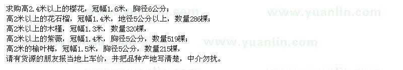 求購(gòu)櫻花、花石榴、木槿、紫薇、榆葉梅