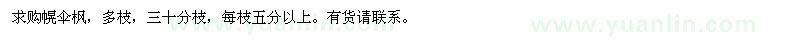 求購幌傘楓