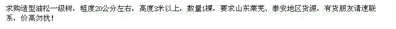 求購(gòu)20公分左右造型油松1棵