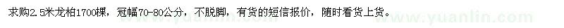 求購2.5米龍柏