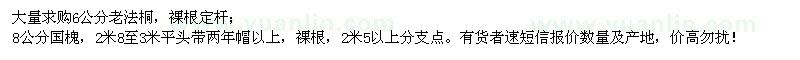 求購6公分老法桐,8公分國槐