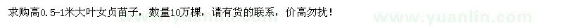 求購高0.5-1米大葉女貞10萬棵