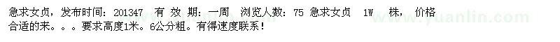 求購女貞，