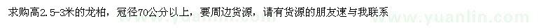 求購高2.5-3米的龍柏
