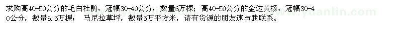 求購毛白杜鵑、金邊黃楊、馬尼拉草坪