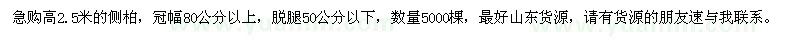 求購(gòu)高2.5米的側(cè)柏