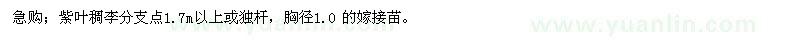 求購紫葉稠李