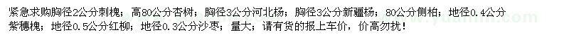 求購(gòu)刺槐、杏樹、河北楊、新疆楊等苗木