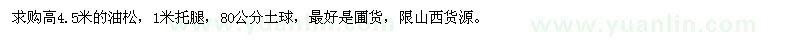 求購高4.5米的油松