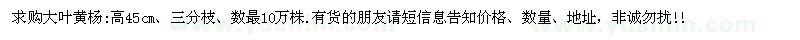 求購(gòu)大葉黃楊