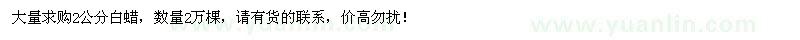 求購(gòu)2公分白蠟2萬(wàn)棵