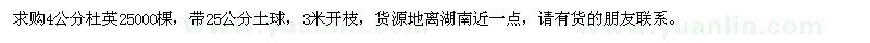 求購4公分杜英25000棵