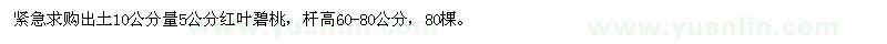 求購5公分紅葉碧桃