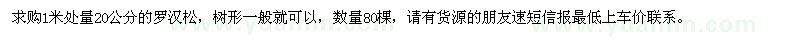 求購1米處量20公分的羅漢松