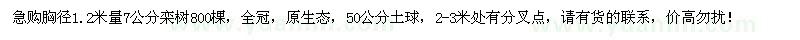 求購(gòu)胸徑1.2米量7公分欒樹800棵