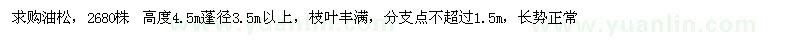 求購油松